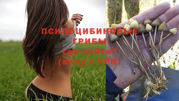 прущие крисы Алексин