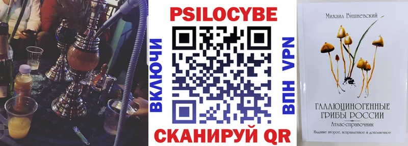 Галлюциногенные грибы Psilocybe  где купить наркоту  гидра tor  Щигры 